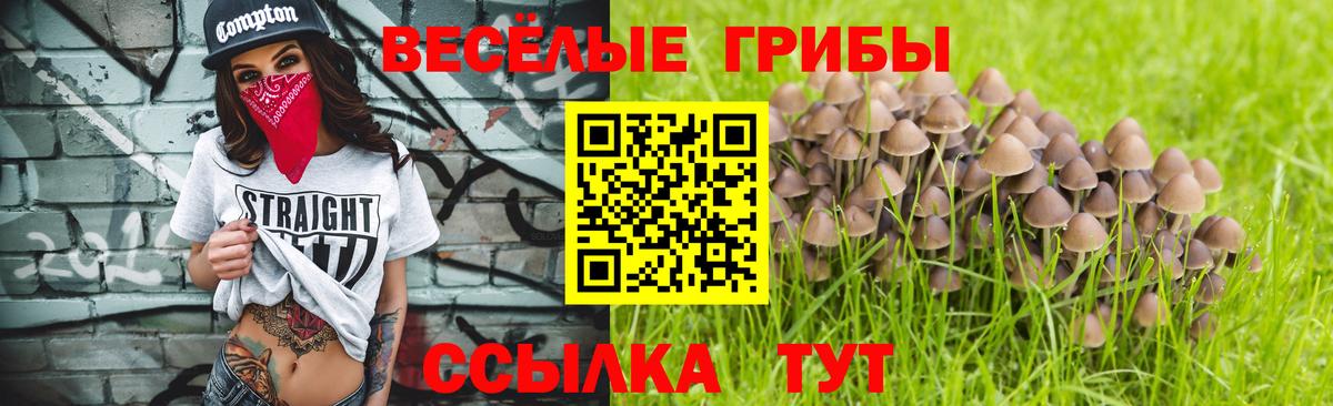 Псилоцибиновые грибы Psilocybe  Галлюциногенные грибы Cubensis  Гусиноозёрск  Вход с VPN 
